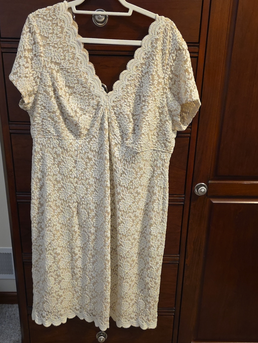 dressbarn Cream Lace V-Neck Short Sleeve Dress